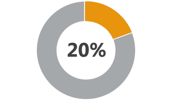 20 percent pie chart