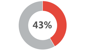 43 percent pie chart