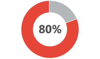 80 percent pie chart