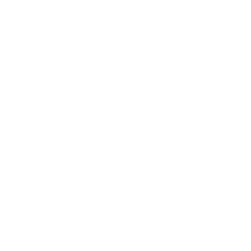 Infographic icon