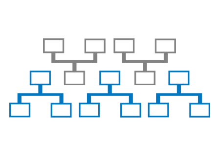 Carrier MPLS Extension