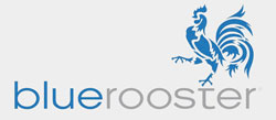 BlueRooster Logo