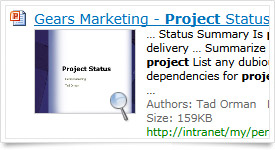 Visual Search Experience