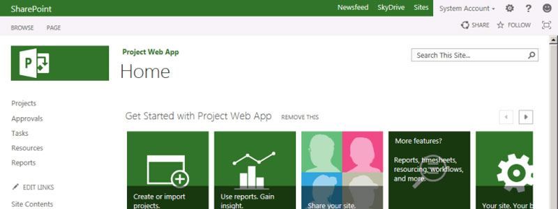 Project Server screenshot